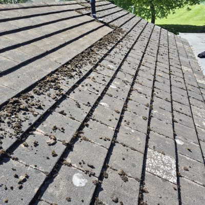 Blue Wave External Cleaning Aberdeen and Aberdeenshire Roof Cleaning